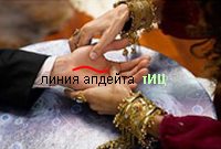 предсказываем апдейт тИЦ, угадай тиц, когда апдейт тИЦ